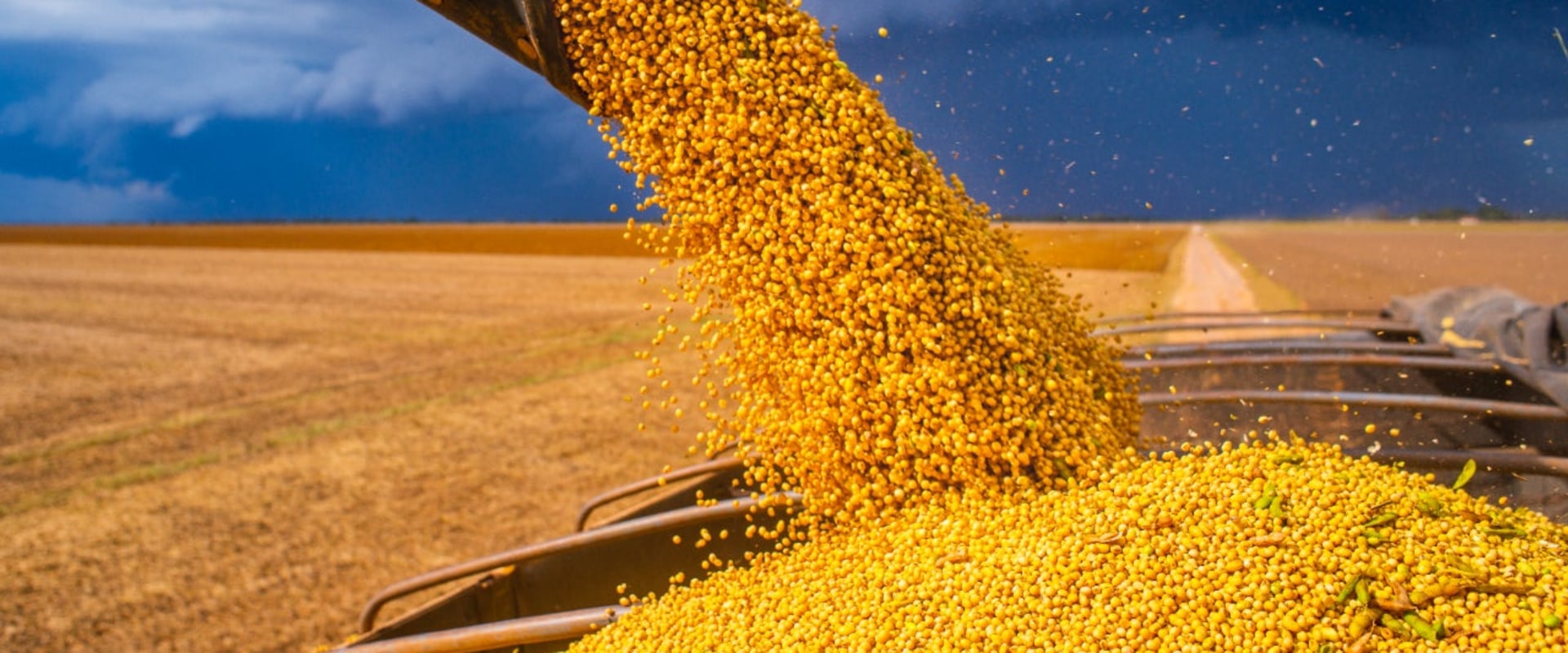 Are commodity funds a good investment?